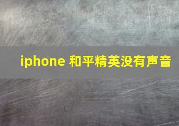 iphone 和平精英没有声音